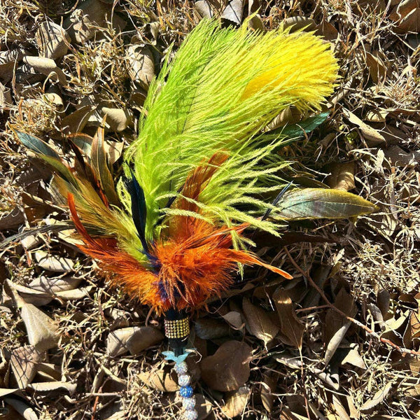 Larrikin Lorikeet Feather Teaser