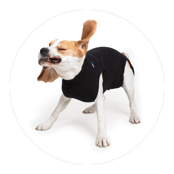 Suitical Recovery Suit for Dogs
