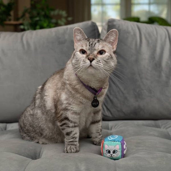 Nala Cat Dice