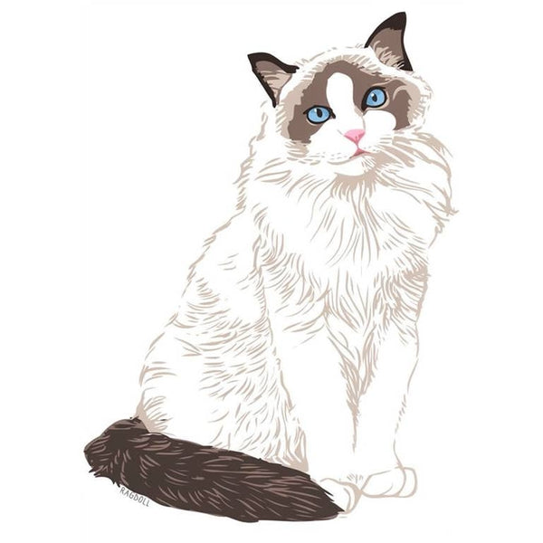 Ragdoll Cat Greeting Card