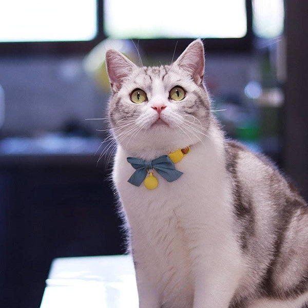 Cheerhunting Mokka - Adjustable Cat Collar with Bowknot & Bell