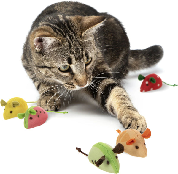 SmartyKat Skitter Slices 5 Count
