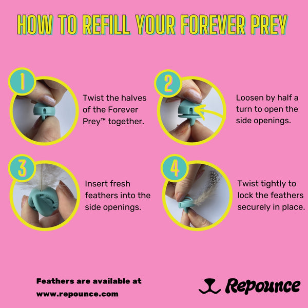 Forever Prey™ - World's First Refillable Feather Toy