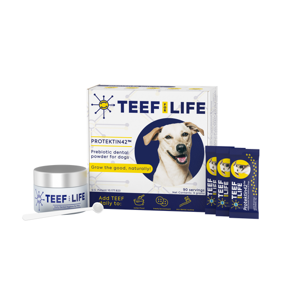 TEEF for Life - Protektin42™ - Kit: Prebiotic Dental Powder for Dogs