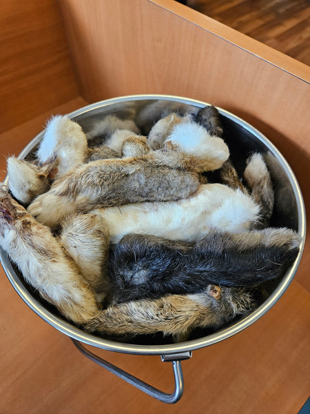 Rabbit Foot