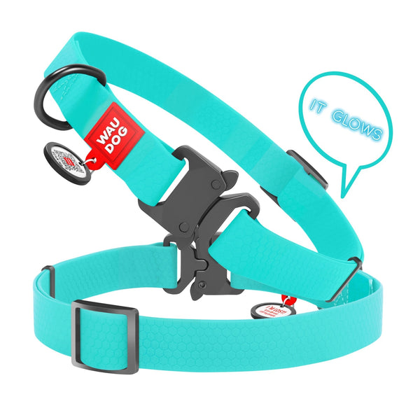 Waudog Mint Glow in the Dark Collar with Metal Clip