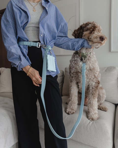 Dexy Paws Waterproof Hands Free Leash 6ft