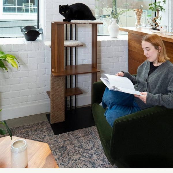 4 Cats & Dogs - Cali Cat Tree Walnut Finish