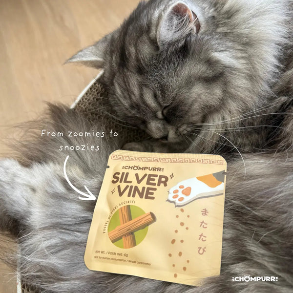 Chompurr Silvervine Pouch