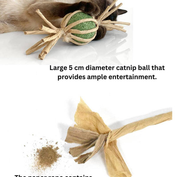 Woven Silvervine Gall Fruit Candy with Catnip Ball