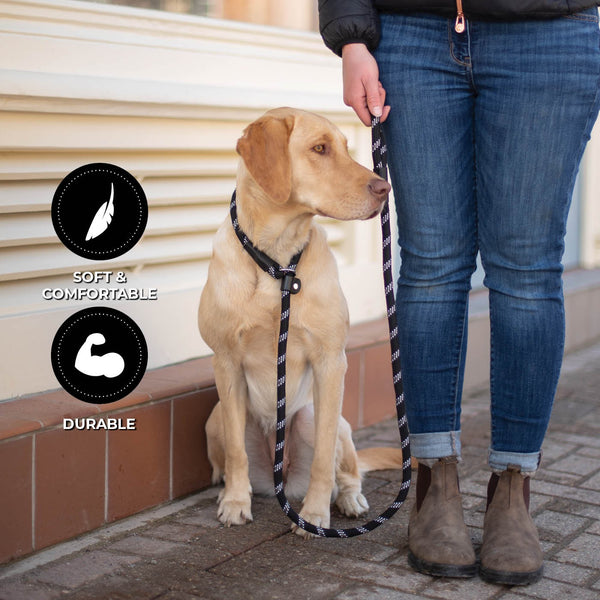 Shedrow Camino Slip Leash Black