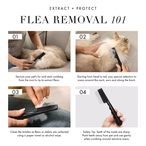 Tweezerman Flea Comb