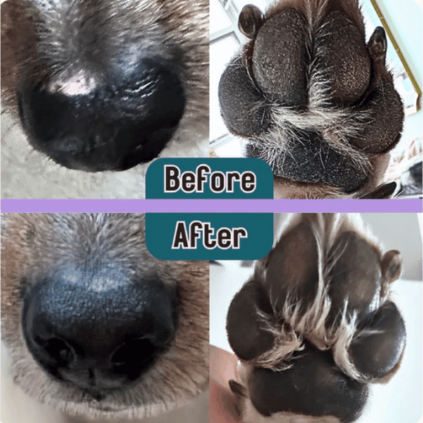 Barks & Boops Coconut & Oat Nose and Paw Balm 50g