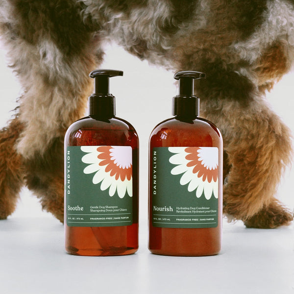 Dandylion Nourish Hydrating Dog Conditioner