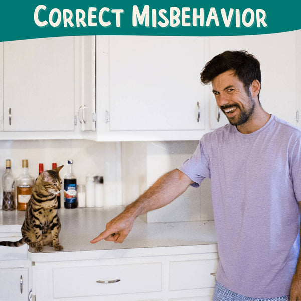 Outdoor Bengal Clicker Training Kit