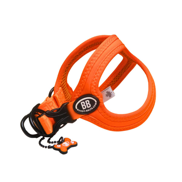 Buddy Belt Vibrant Sport Harness