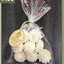 Zinnia Flower 2.36" 8pk Bird and Small Animal Toy – Sola