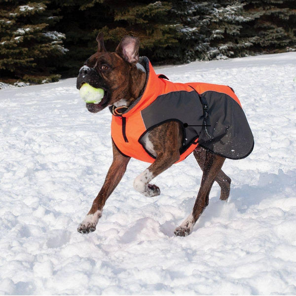 Shedrow Chinook Dog Coat – Cascadia Natural Pet Supply
