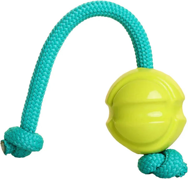 Doog Fetchable Fetch-n-Tug