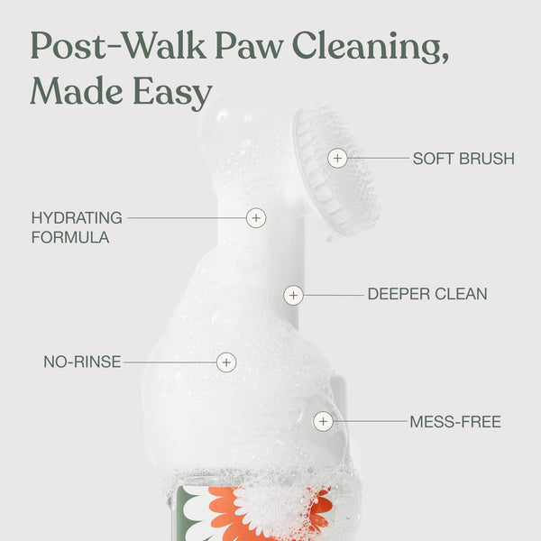 Dandylion Clean Paws No-Rinse Foaming Cleanser