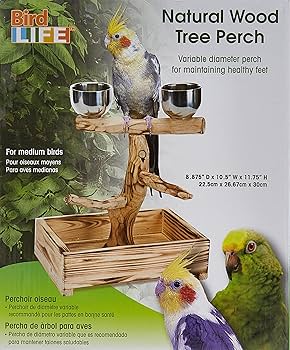 Medium Natural Wood Perch