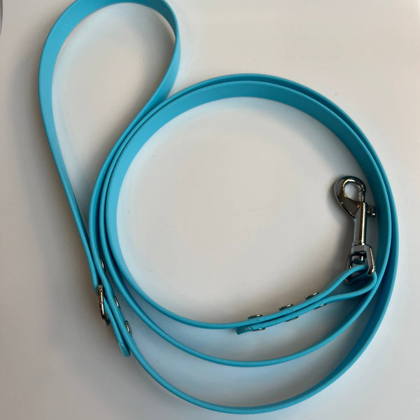 Let's Go Leash Co. Classic Biothane Leash 5'