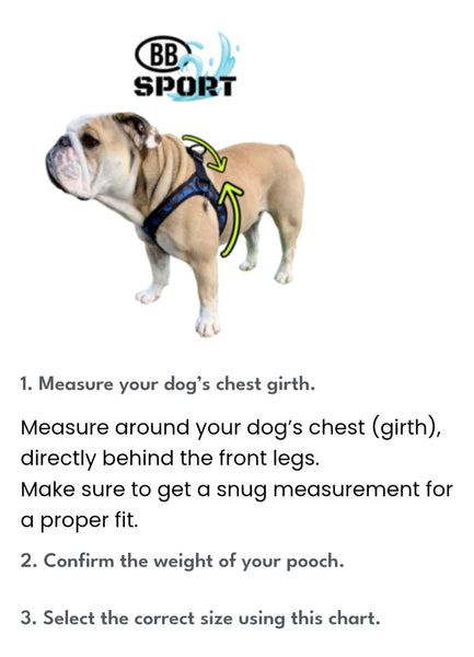 Buddy Belt Vibrant Sport Harness