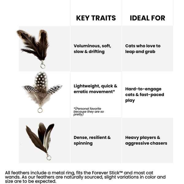 Forever Stick Feather Toy Attachment Set (3Pc) Natural Feathers For Cats
