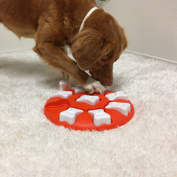 Nina Ottosson Dog Smart Orange Puzzle