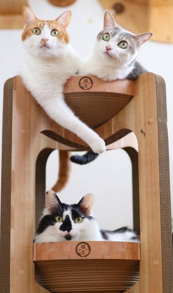Necoichi Cozy Cat Scratcher XL Tower