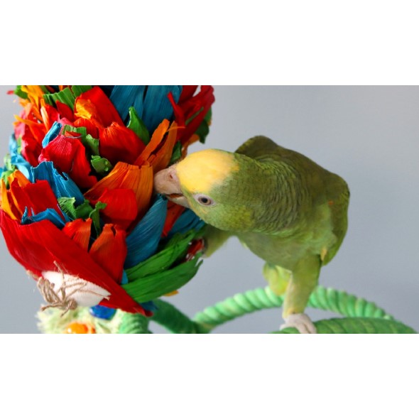 HARI Smart Play Corn Silk Cascade Bird Toy Large