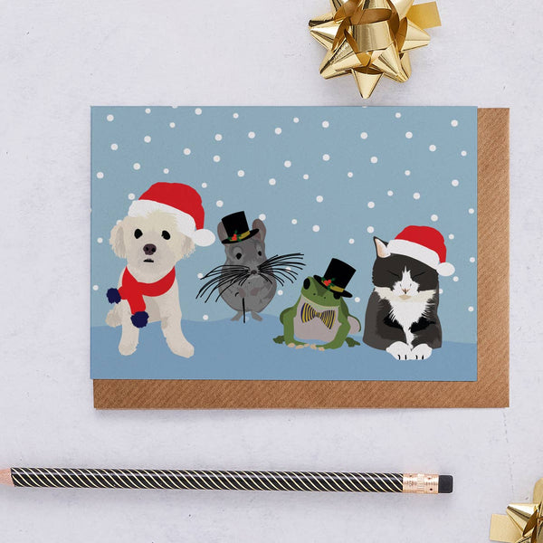 Christmas Card Pets in santa hats in the snow