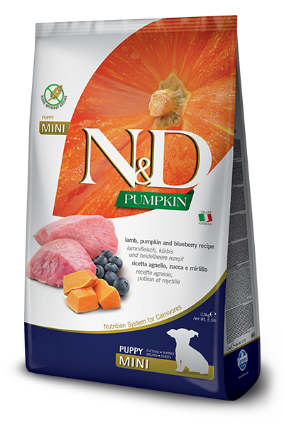 N&d pumpkin formula dog food best sale