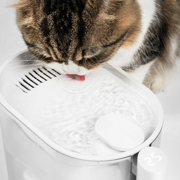 pidan Water Fountain for Cats with Water Temperature Control 2.0 | US/CA VERSION