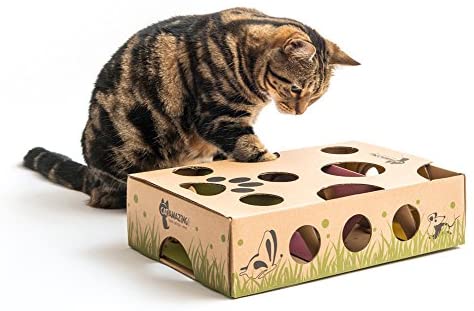 Cat Amazing Classic Interactive Cat Toy and Puzzle Feeder