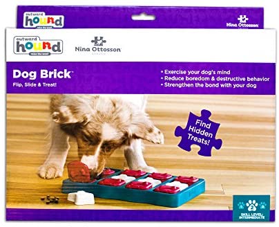 Nina Ottosson Dog Brick Puzzle