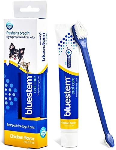 Bluestem Toothbrush and Toothpaste