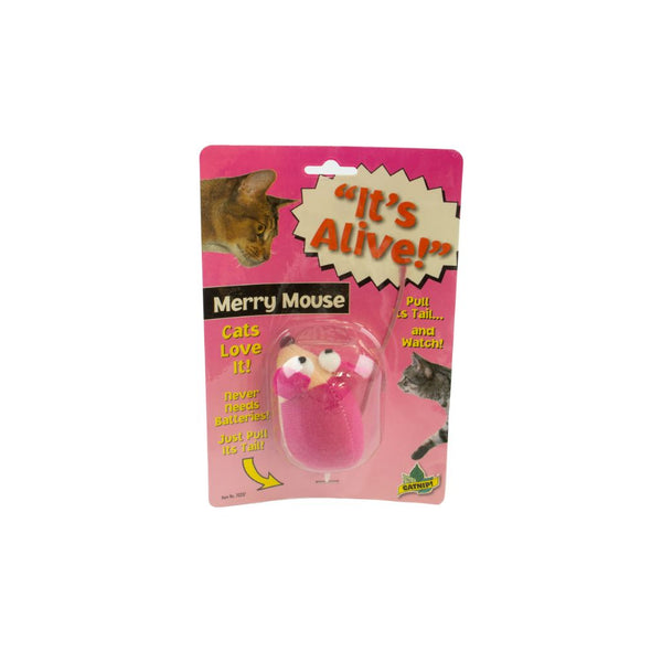 Its Alive! Vibrating Cat Toy