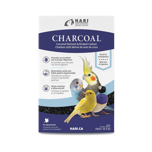 Hari Charcoal