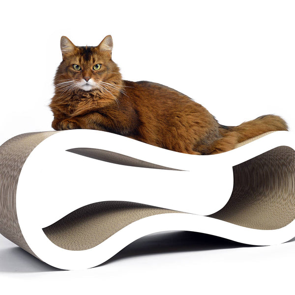 Singha L design cat furniture