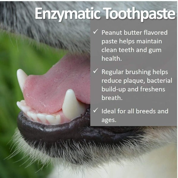 Vet Worthy Peanut Butter Flavored Toothpaste