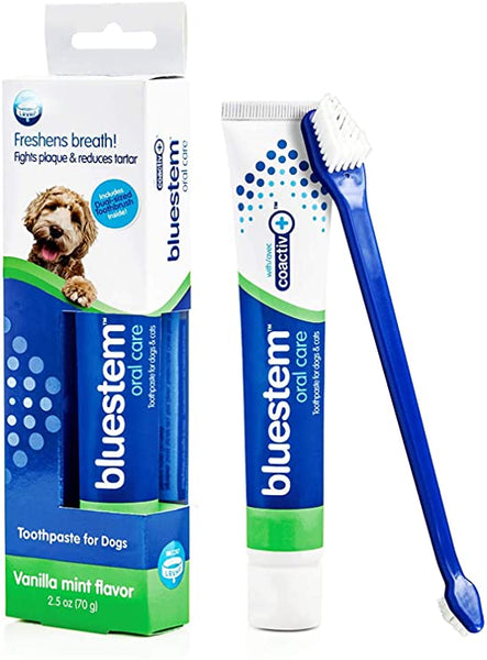 Bluestem Toothbrush and Toothpaste