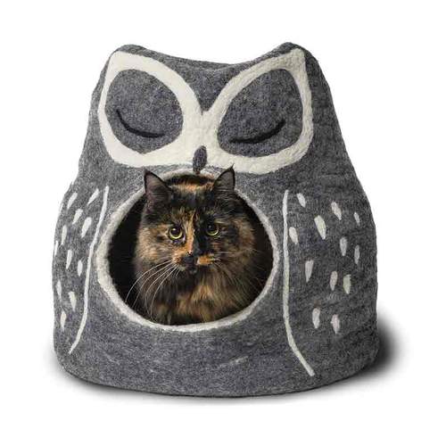 Dharma Dog Karma Cat - Cave - Owl