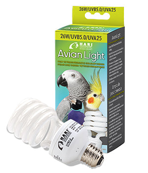 Hari Avian Light Bulb