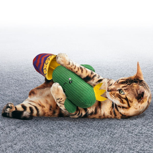 Kong Wrangler Cactus Catnip Toy