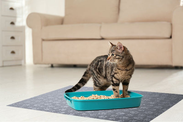 Americat Eco-friendly Cat Litter Box Mat