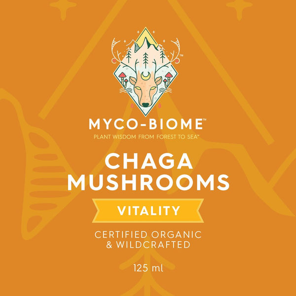 Chaga Mushrooms