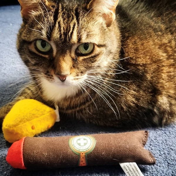 Meowijuana Catnip Cigar