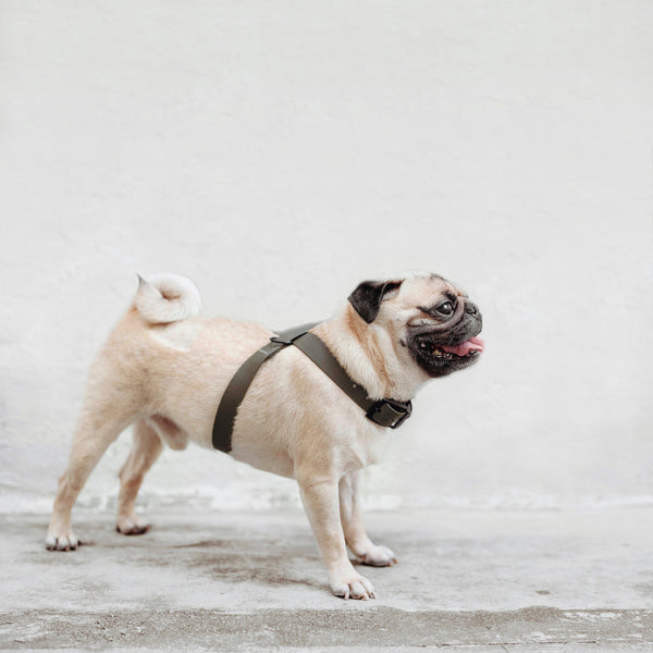 OTTO // ESCAPE PROOF HARNESS Muted Pink