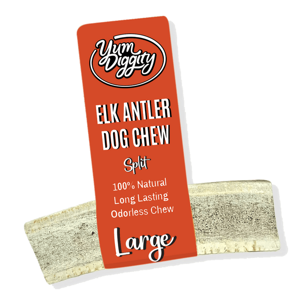 Yum Diggity Naturally Shed Antler Chew